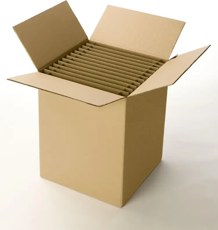 Carton 48 assiettes